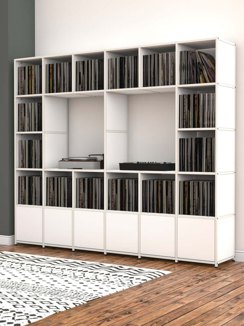 modular vinyl storage